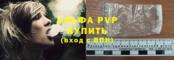 гашик Липки