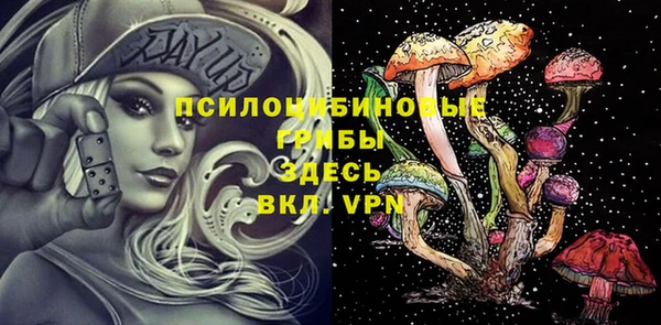 гидра Абаза