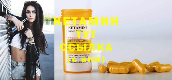 гидра Абаза