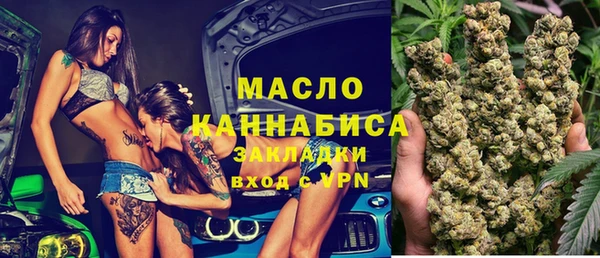 гидра Абаза