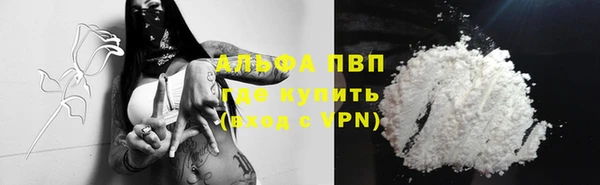 гашик Липки